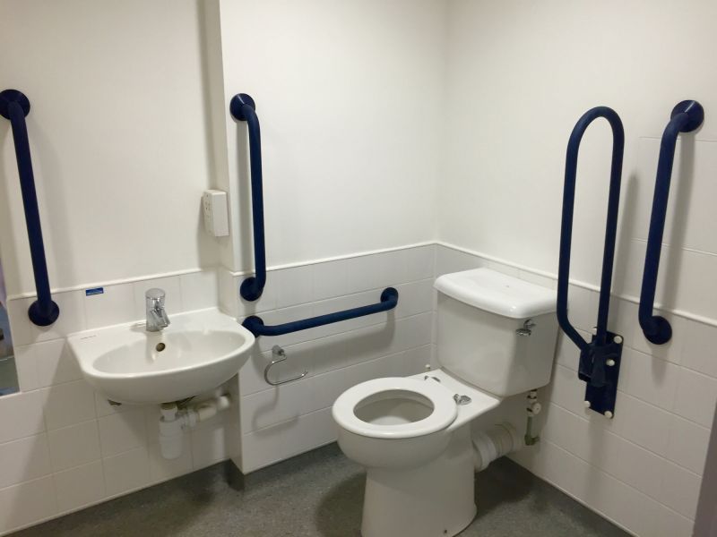 Toilet Grab Bars Installation