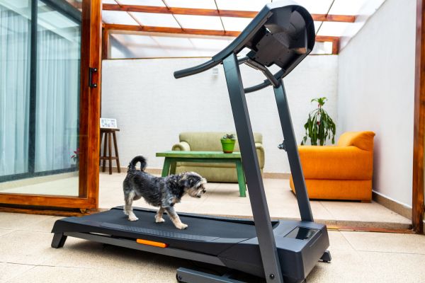 Cost of Treadmill Installation in American Fork