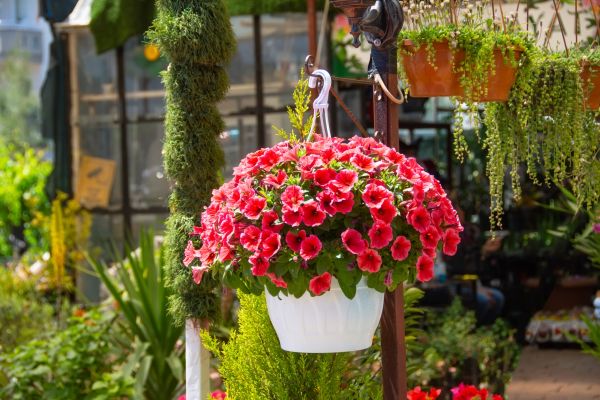 Cost of Hanging Planter Installation in American Fork