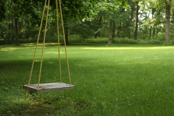 Cost of Rope Swing Installation in American Fork